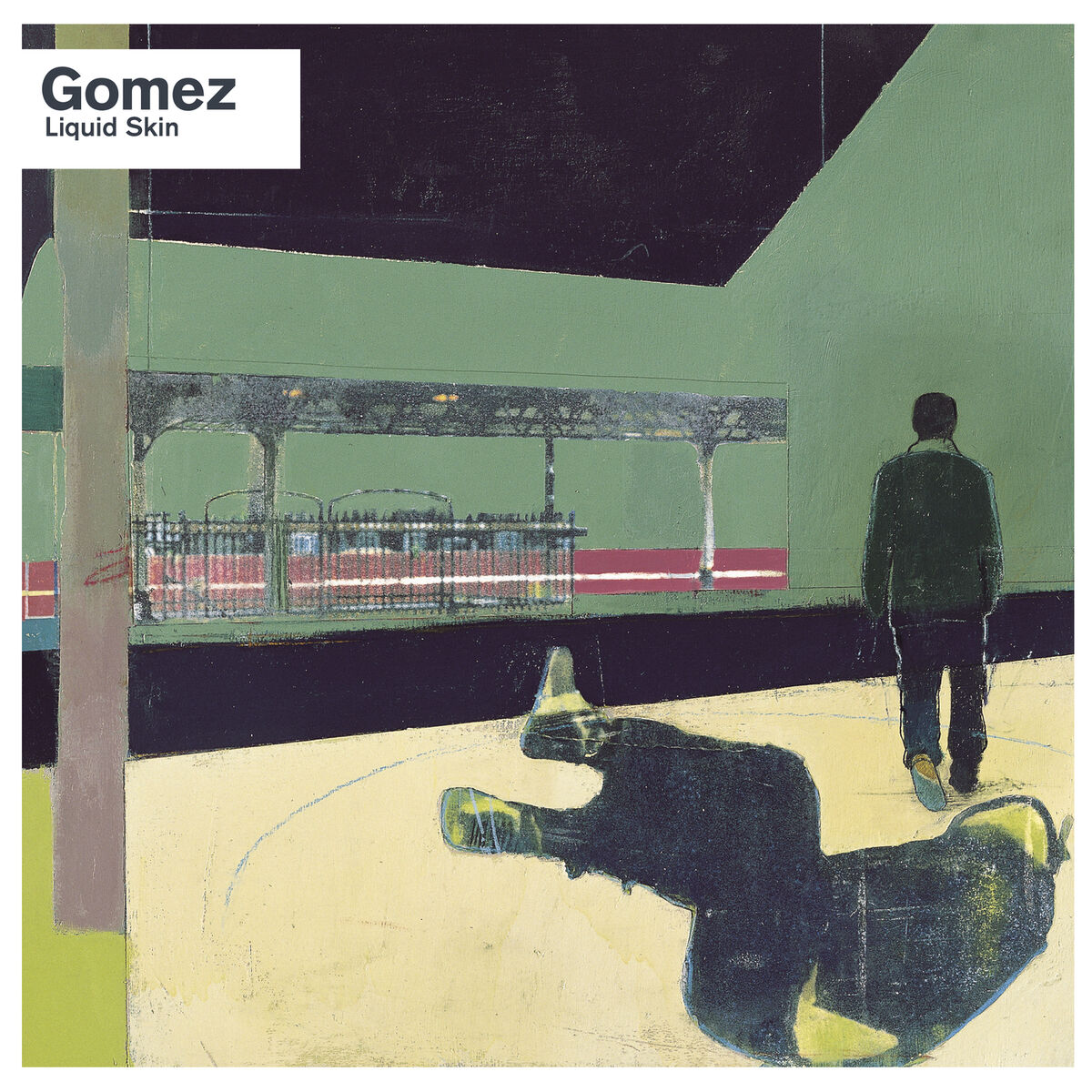 Album cover of Liquid Skin (20th Anniversary Edition / Deluxe)
