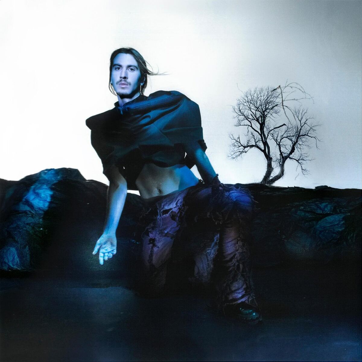 Album cover of Megalomaniac