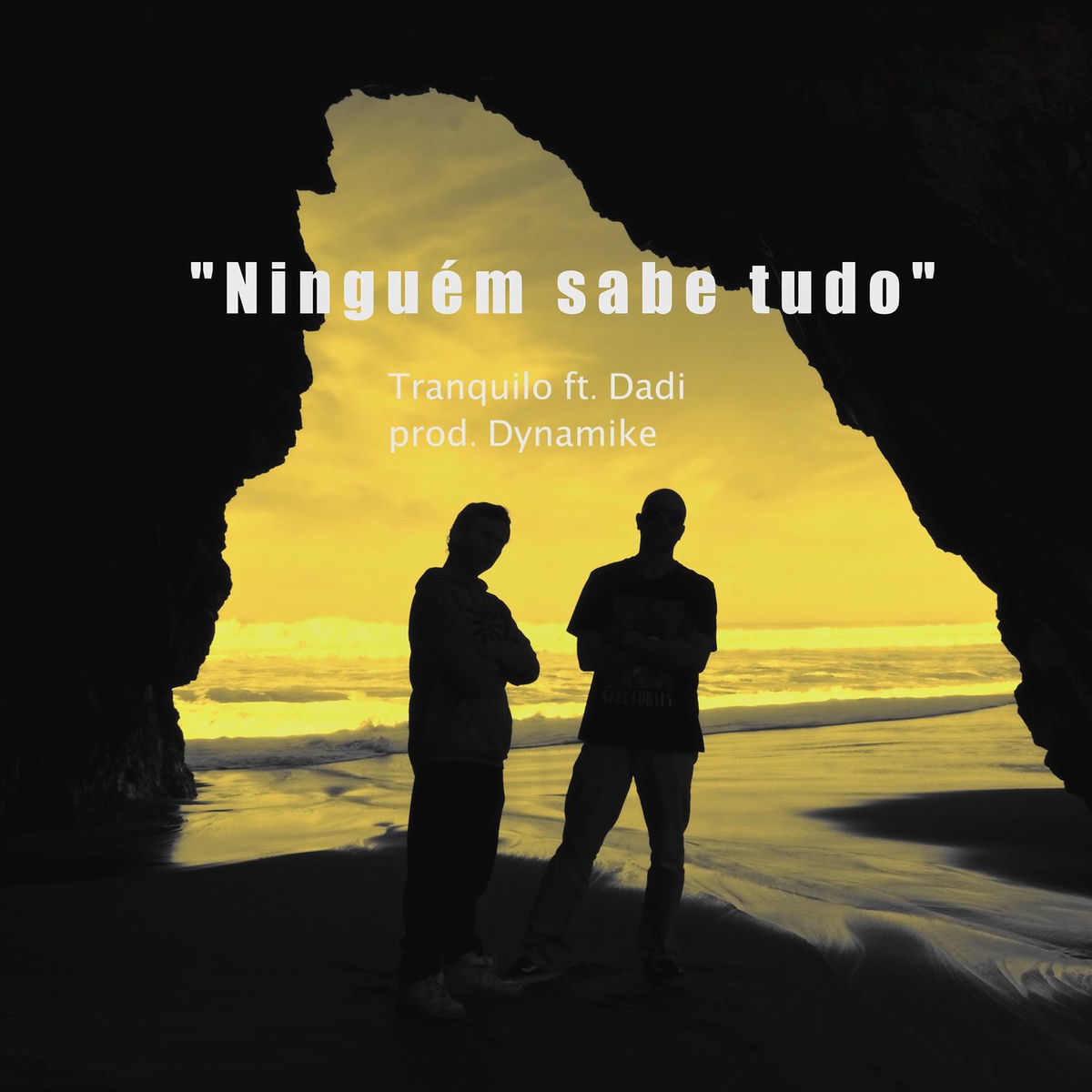 Album cover of Ninguém Sabe Tudo