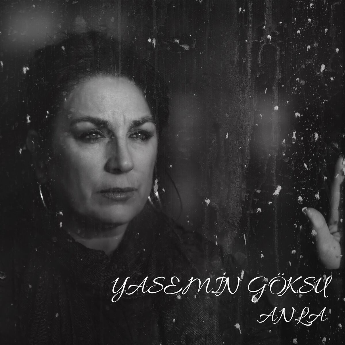 Album cover of Anla