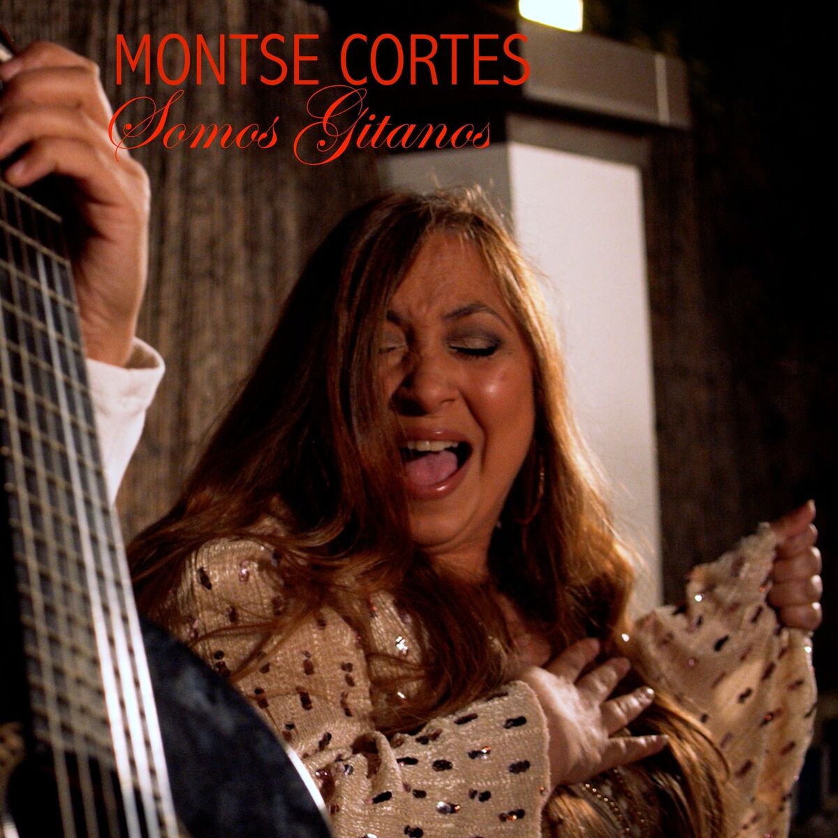 Album cover of Somos Gitanos