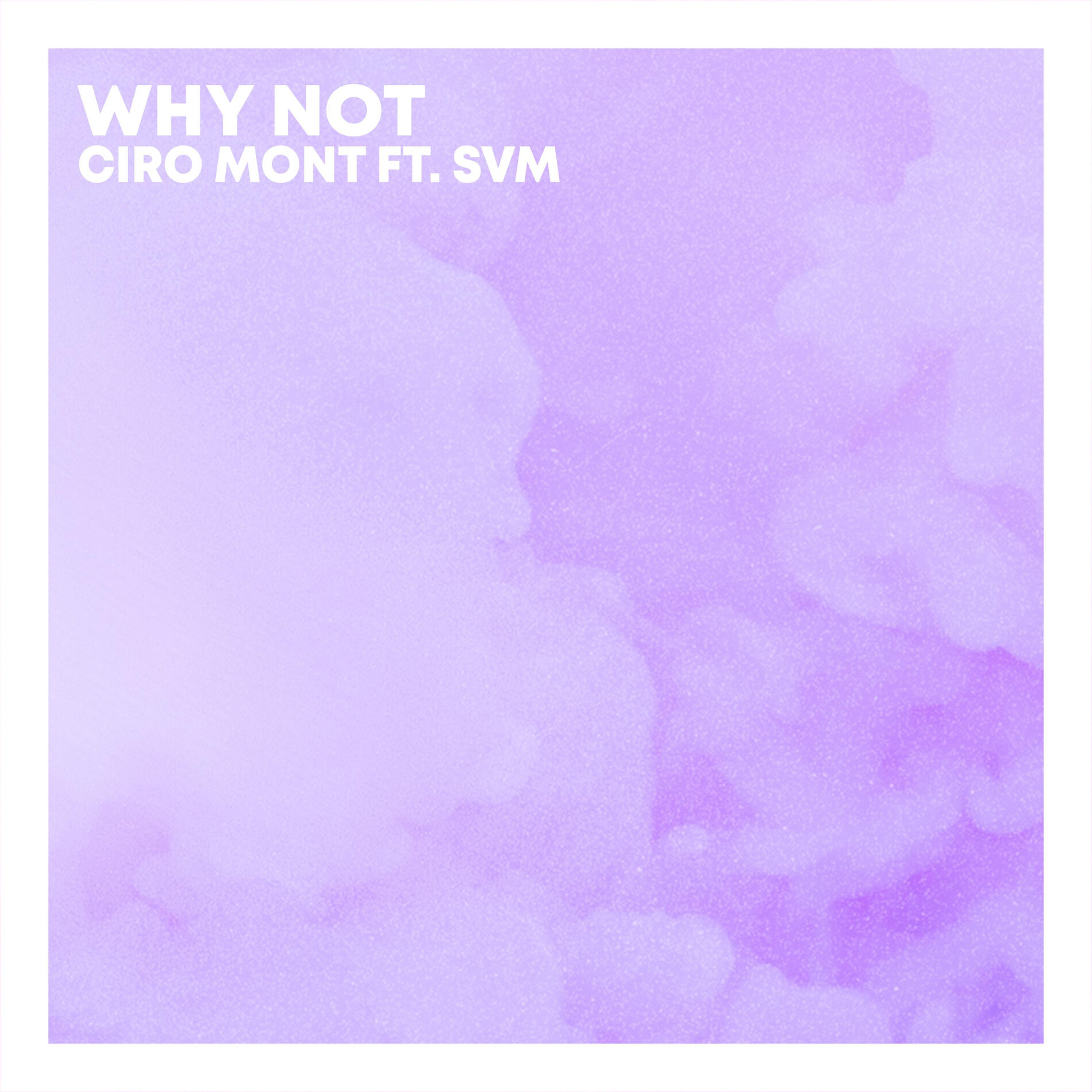 Album cover of Why Not (feat. SVM)
