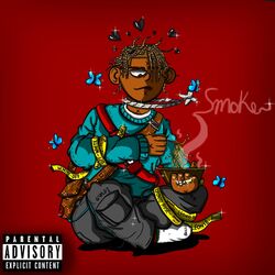 Cover of Smoke