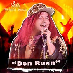 Cover of Don Ruan