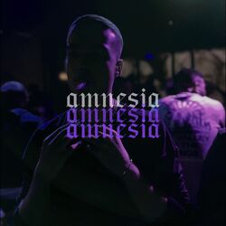 Cover of Amnesia