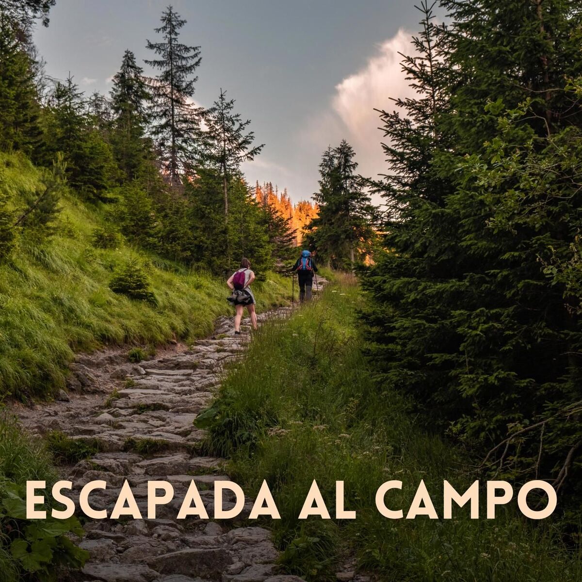 Album cover of Escapada al campo