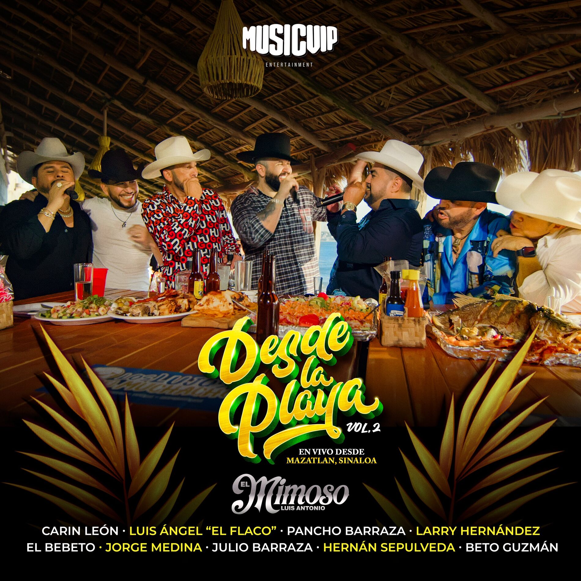 Album cover of Desde La Playa Vol. 2 (En Vivo)