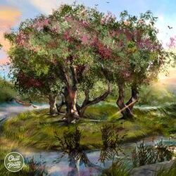 Cover of Enchanted