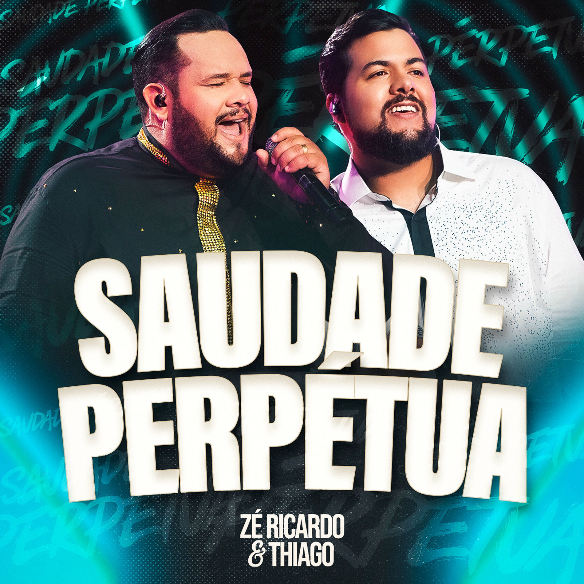 Album cover of Saudade Perpetua