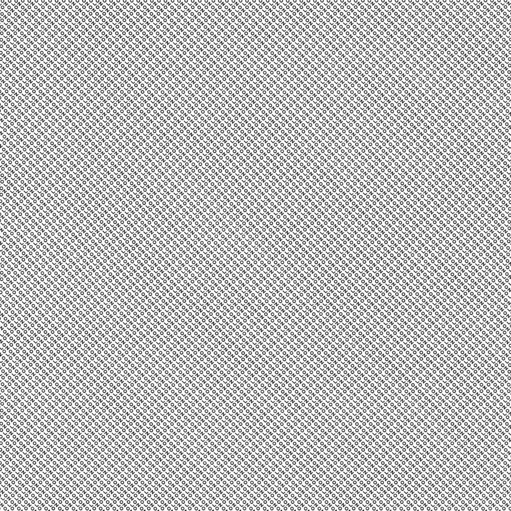 Picture of Loon