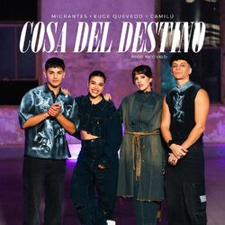 Cover of Cosa del destino