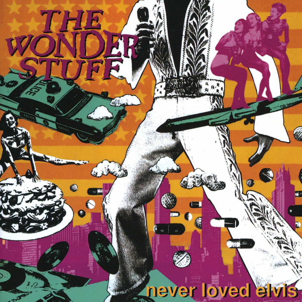 Picture of Never Loved Elvis