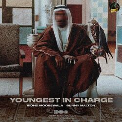 Cover of Youngest In Charge
