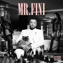 Cover of Mr. Fini