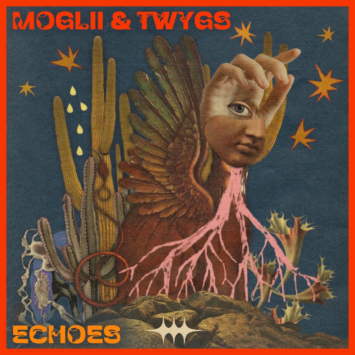 Album cover of Echoes