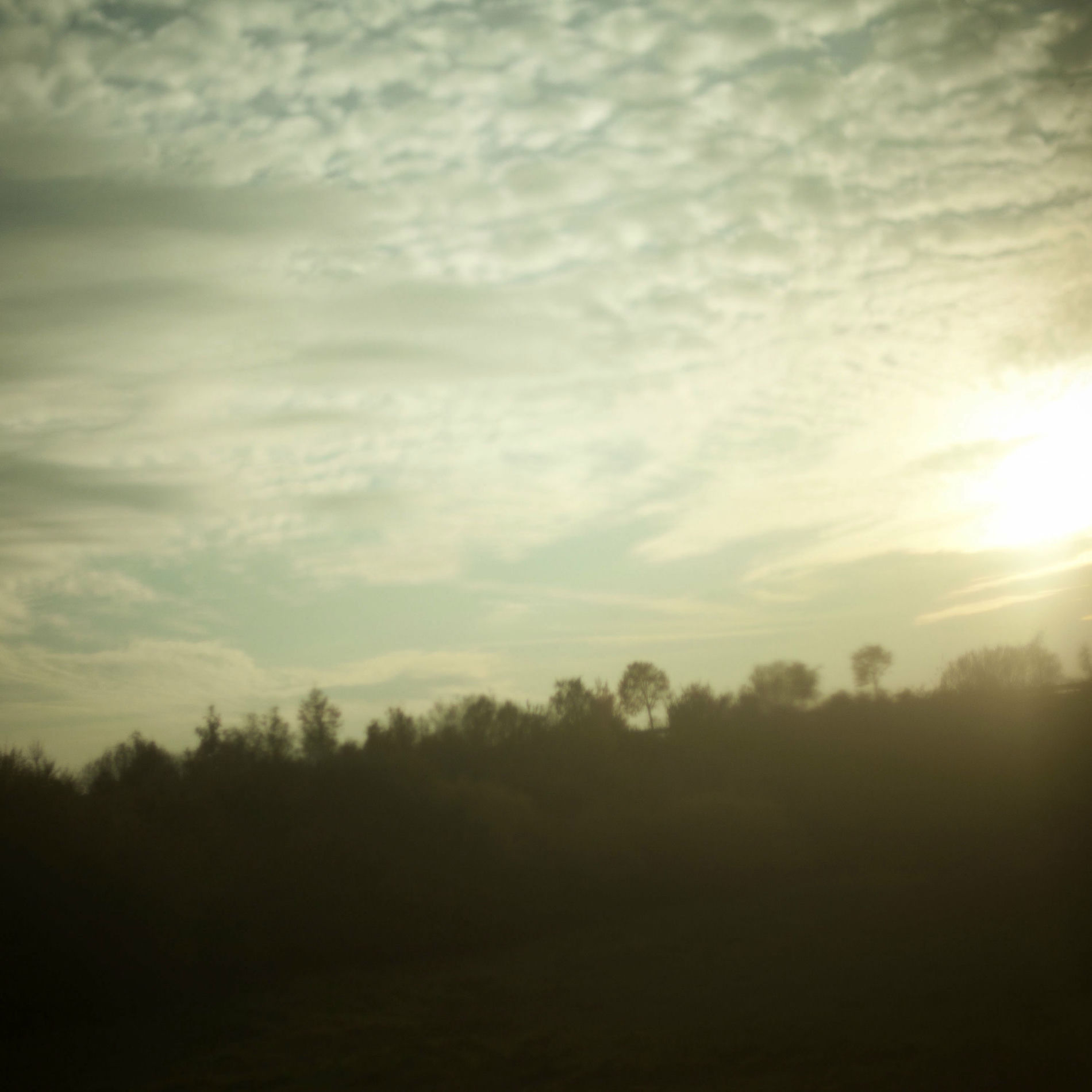 Album cover of Debut