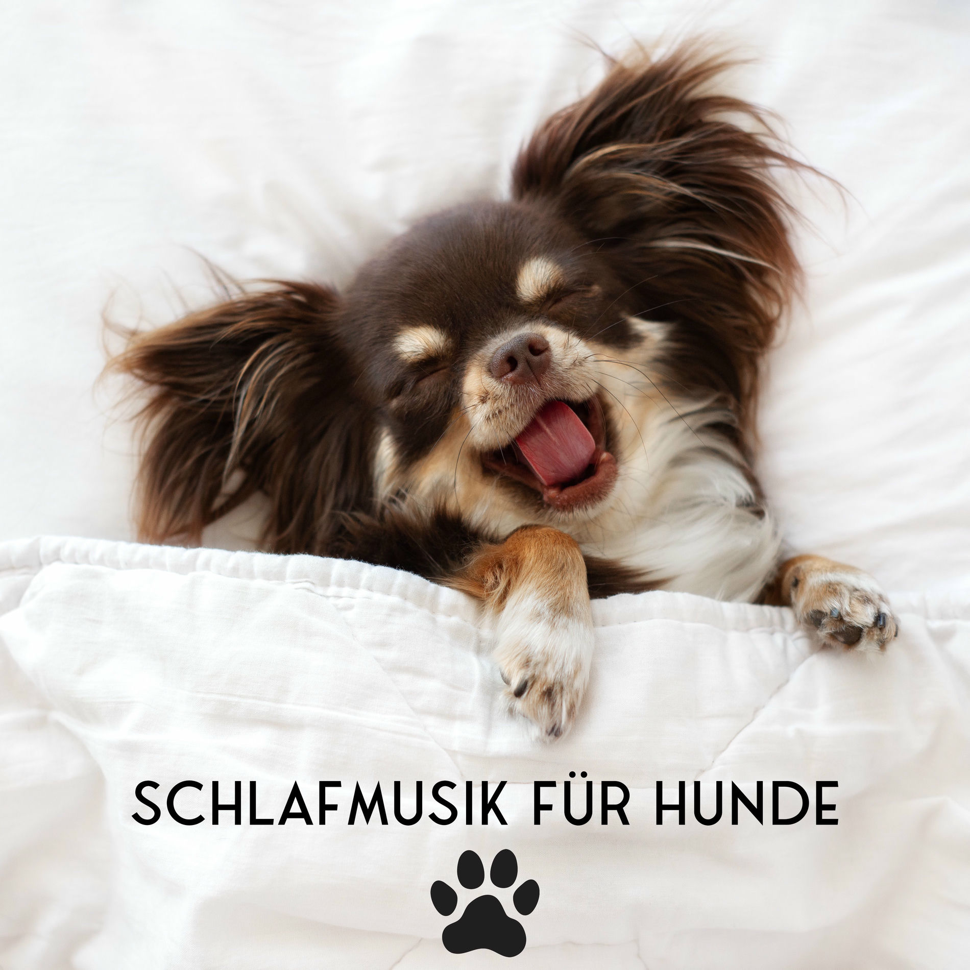 Album cover of Schlafmusik für Hunde: Haustier-Entspannung, Linderung von Trennungsangst, Ruhiger Hund
