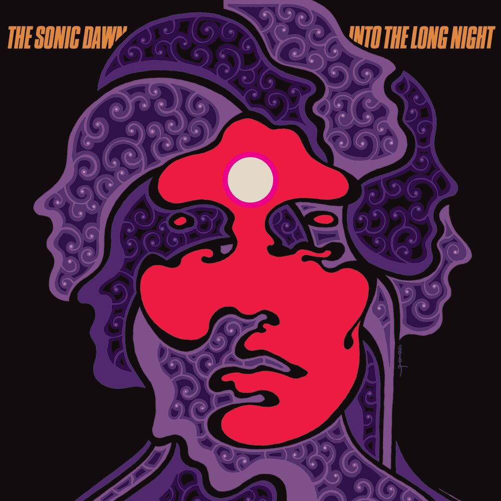 Picture of Into the Long Night