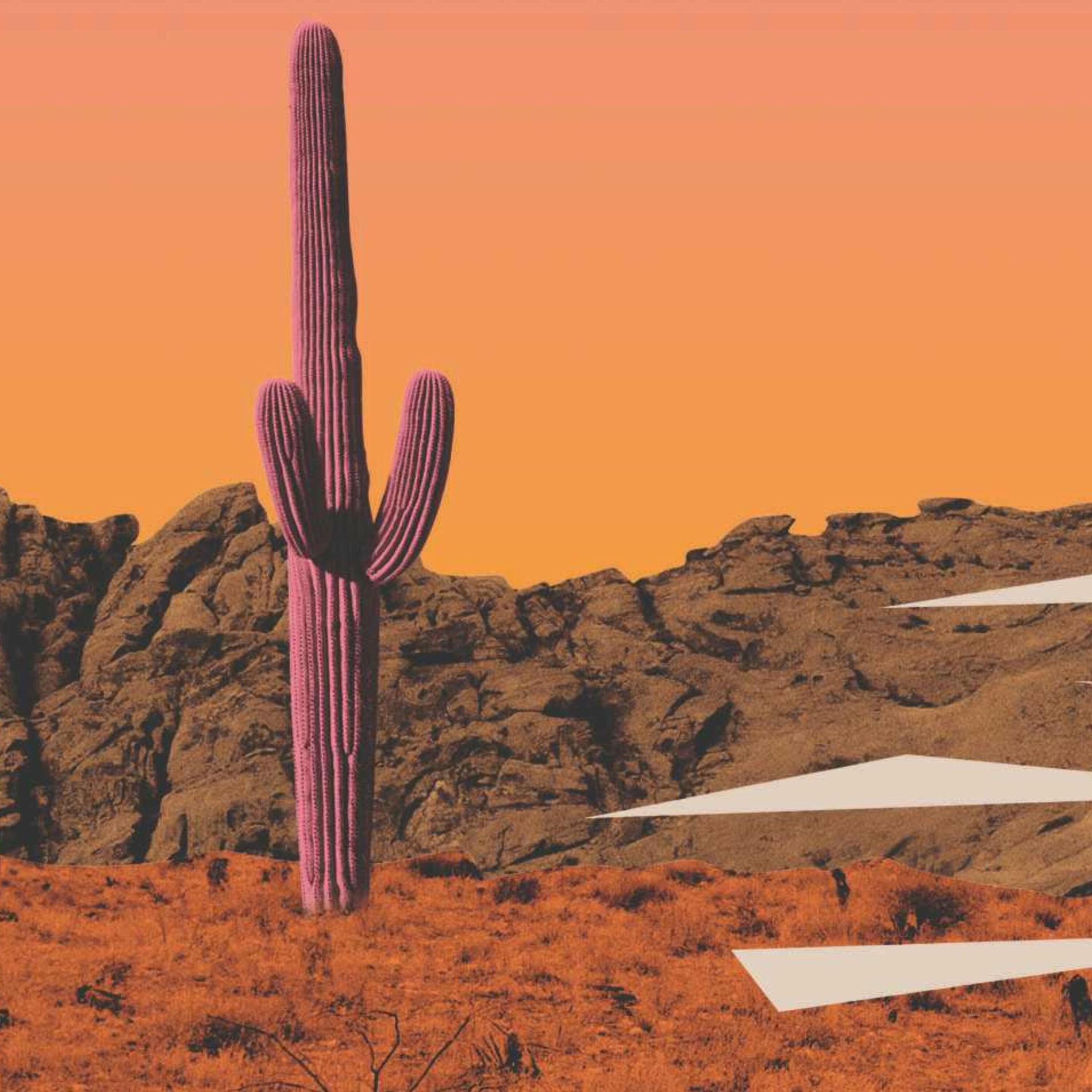 Album cover of Nacido pa' ser salvaje