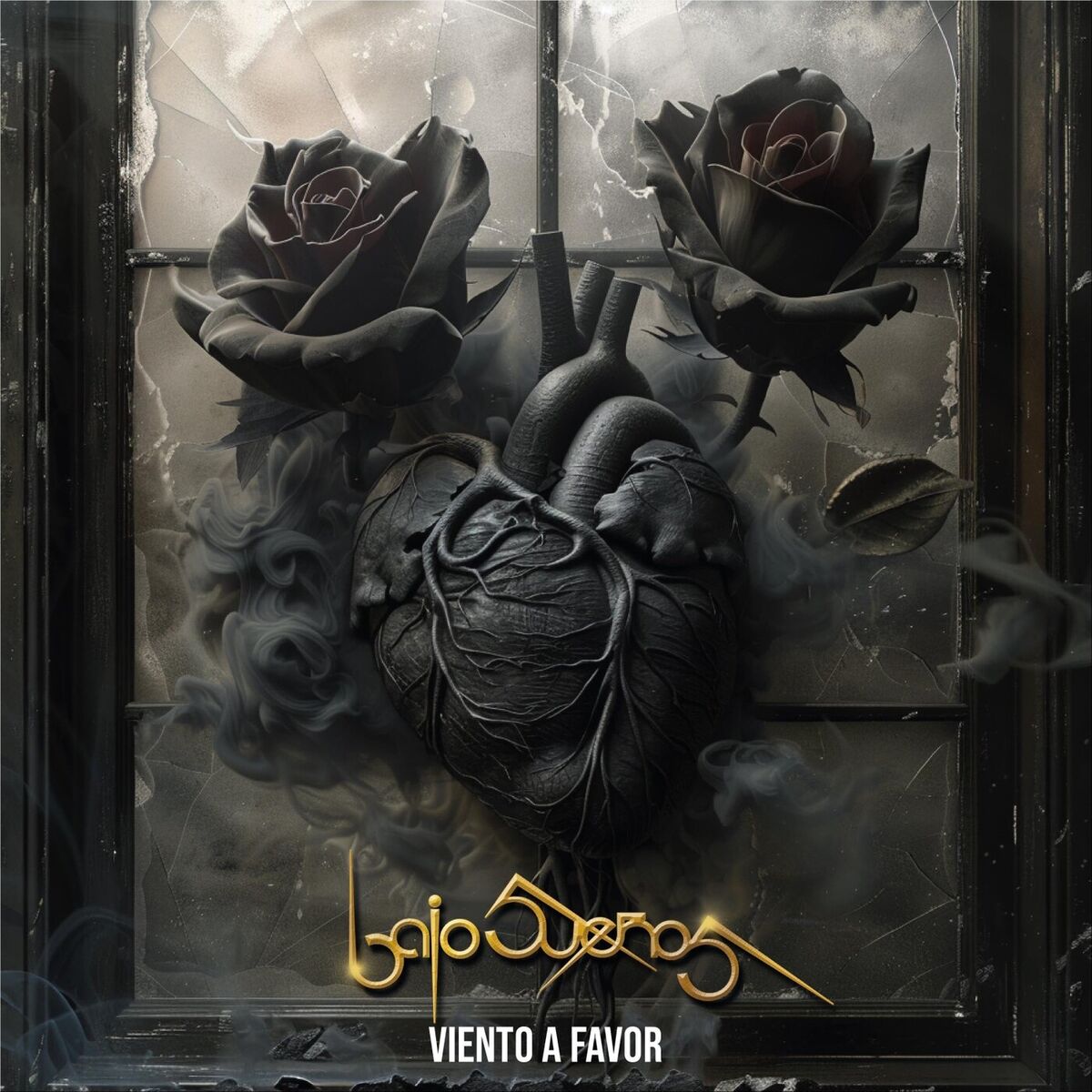 Album cover of viento a favor