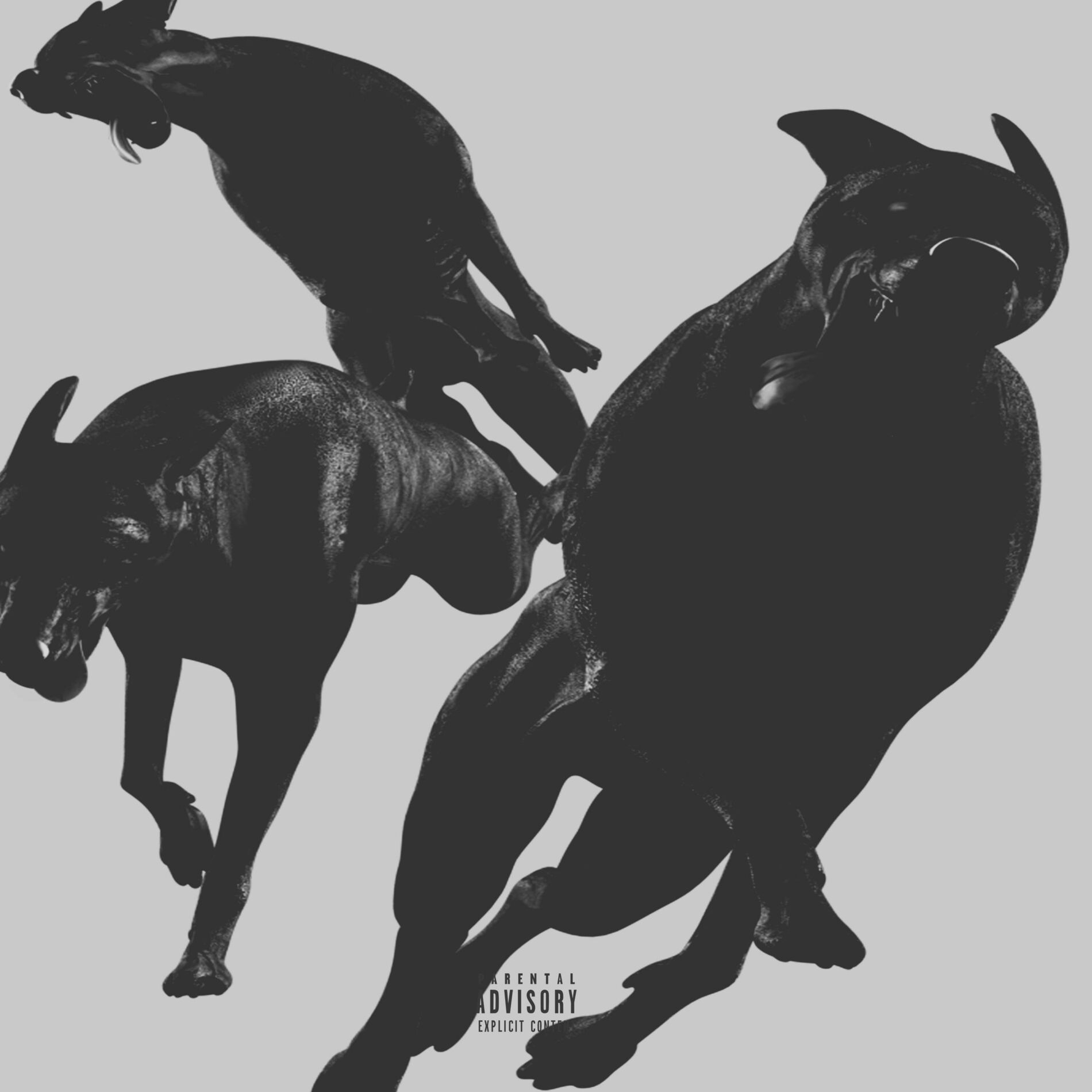 Album cover of Fully Guzu II