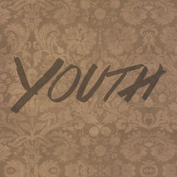 Cover of Youth