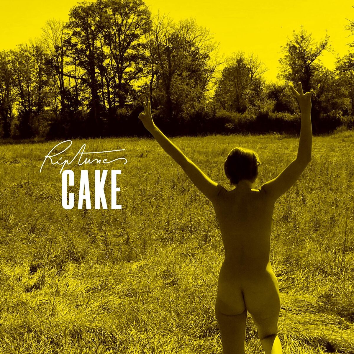 Album cover of Cake