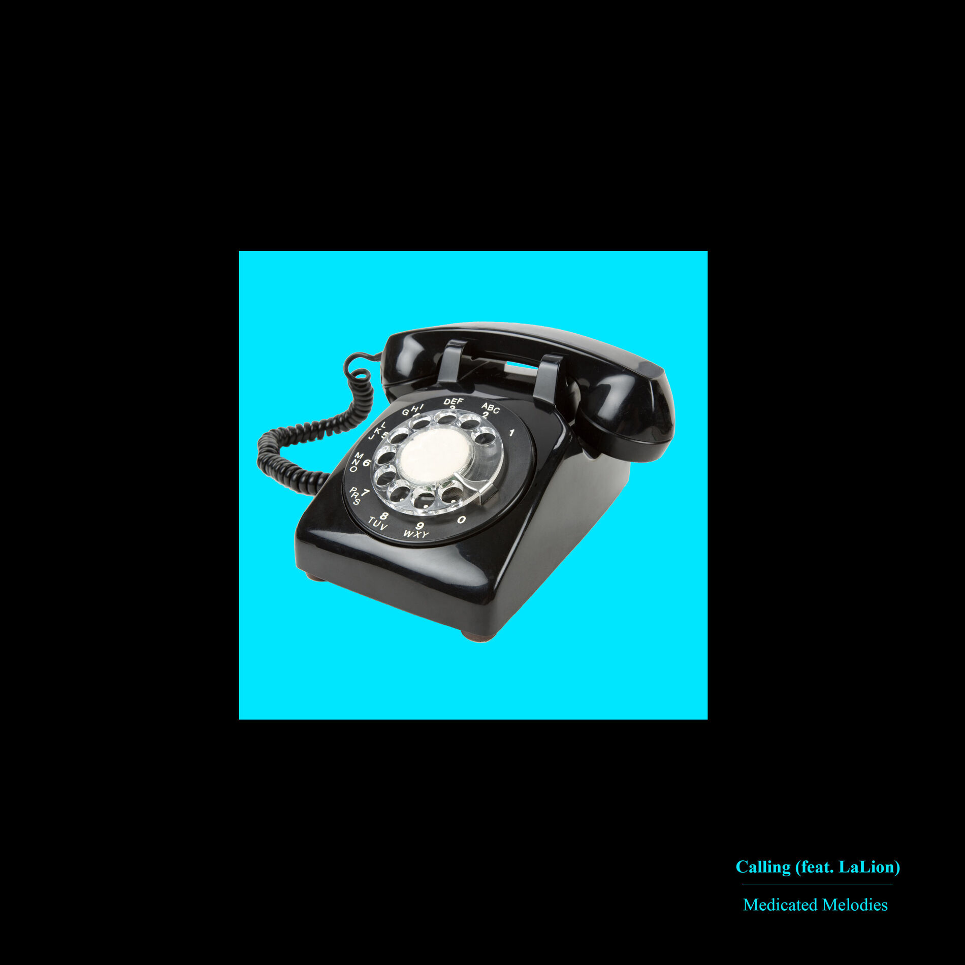 Album cover of Calling