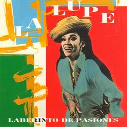 Cover of Laberinto de Pasiones