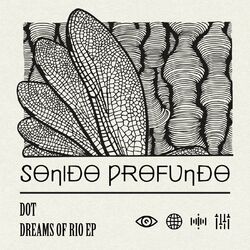 Cover of Dreams of Rio