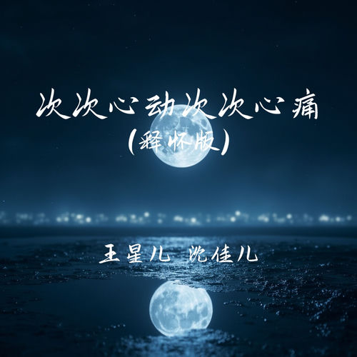 次次心动次次心痛 (释怀版)