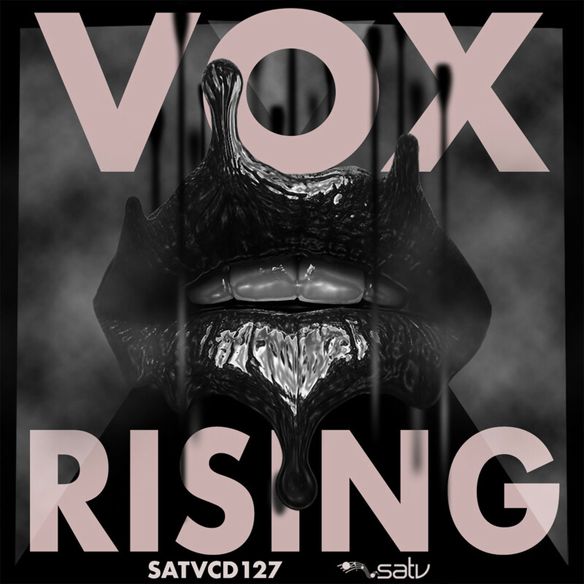 Album cover of Vox Rising