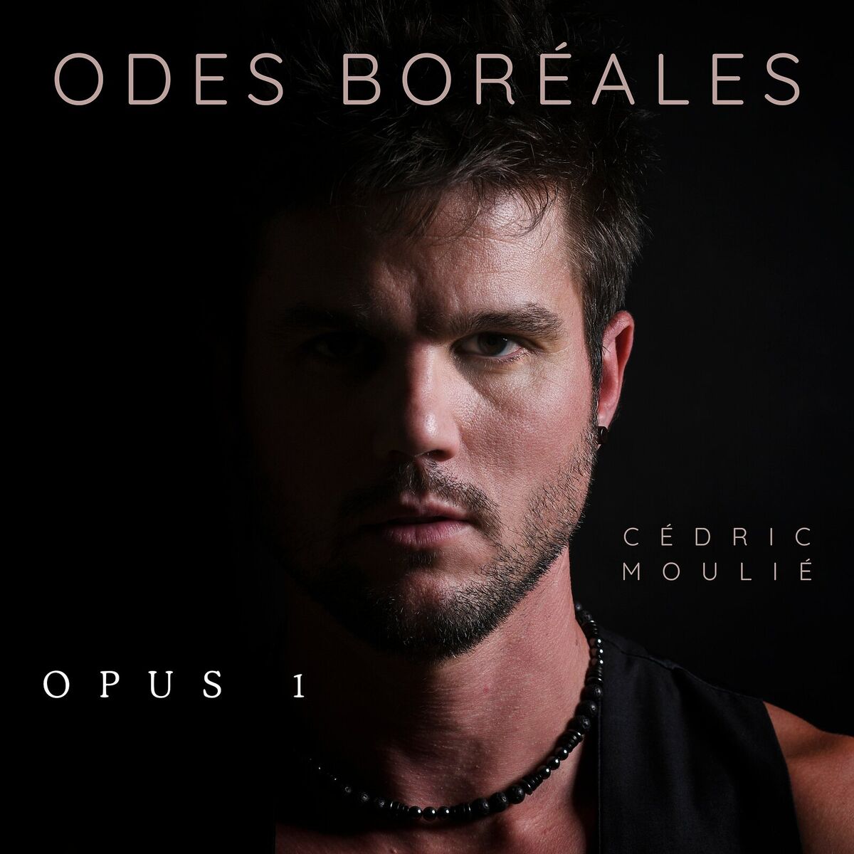 Album cover of Odes Boréales - Opus 1