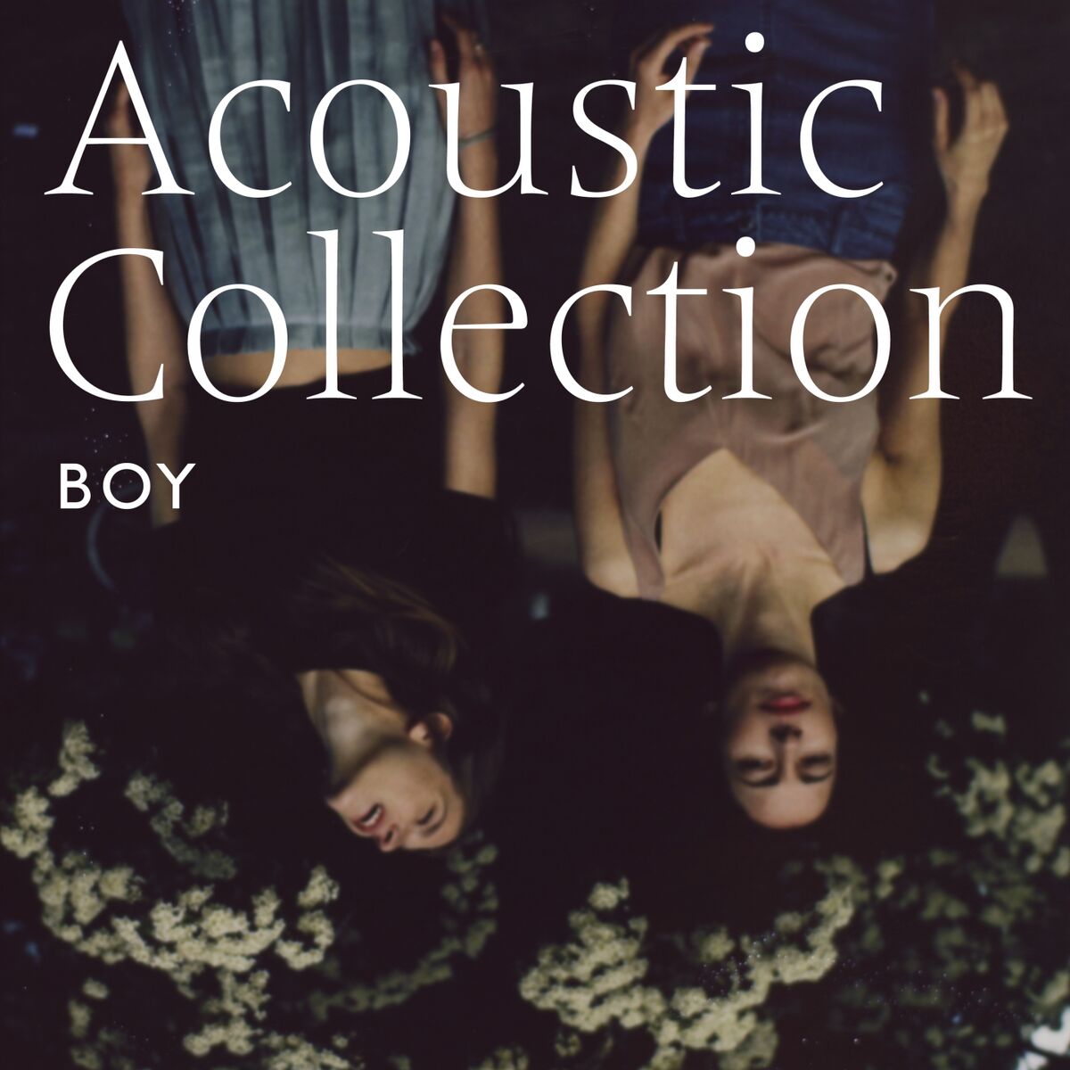 Album cover of Acoustic Collection