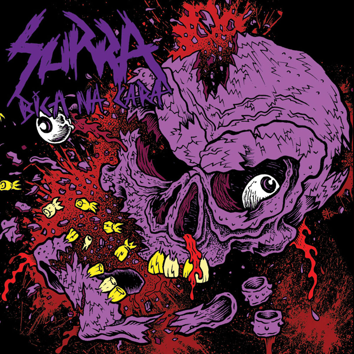 Album cover of Bica na Cara