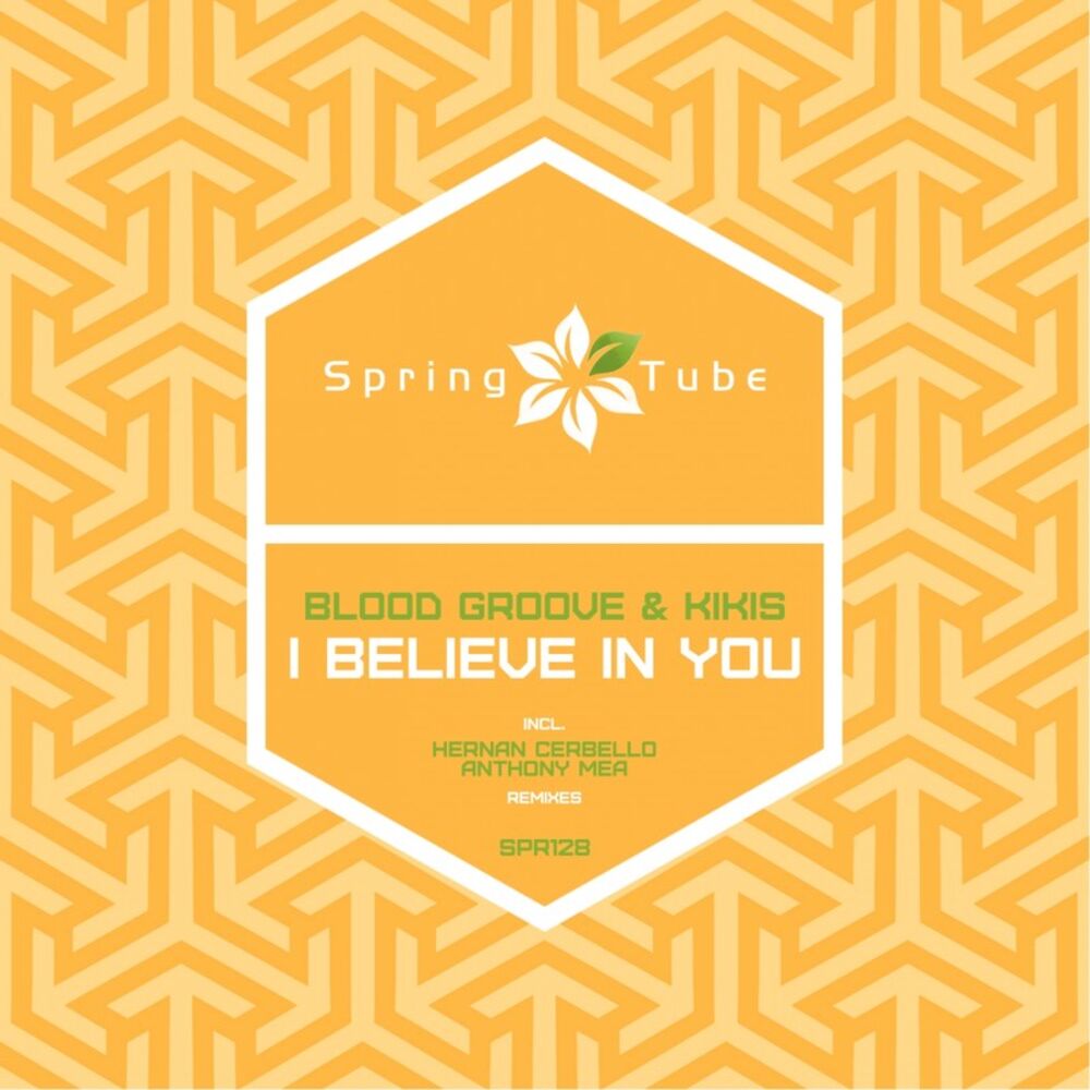 Picture of I Believe in You