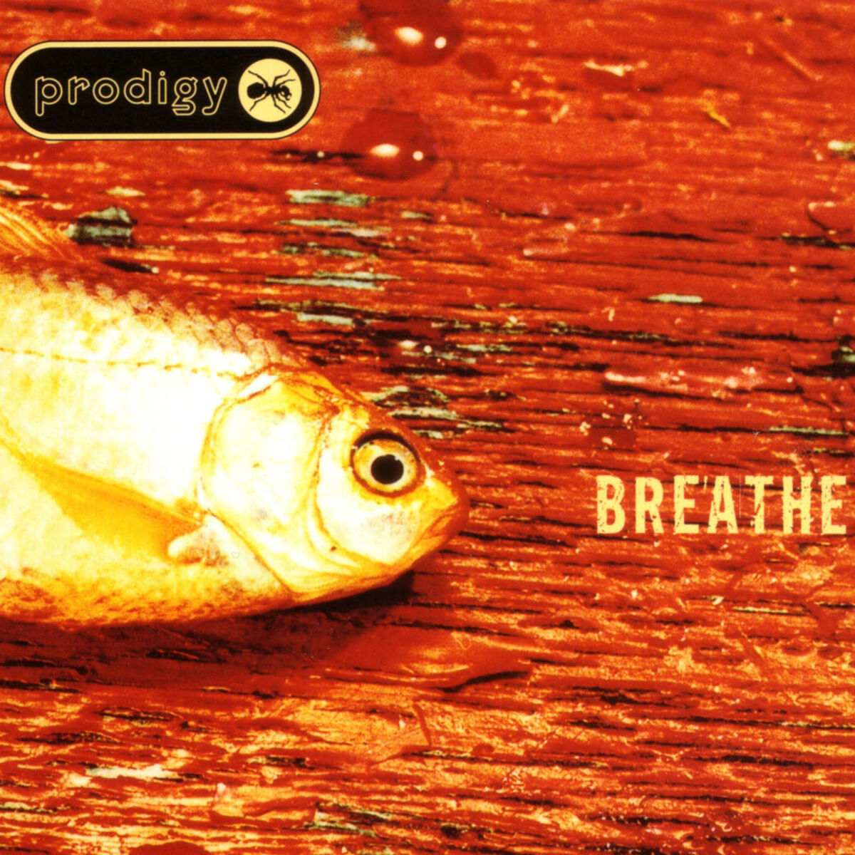 Album picture of Breathe