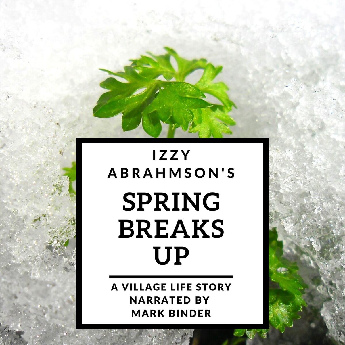 Album cover of Spring Breaks Up: A Village Life Story