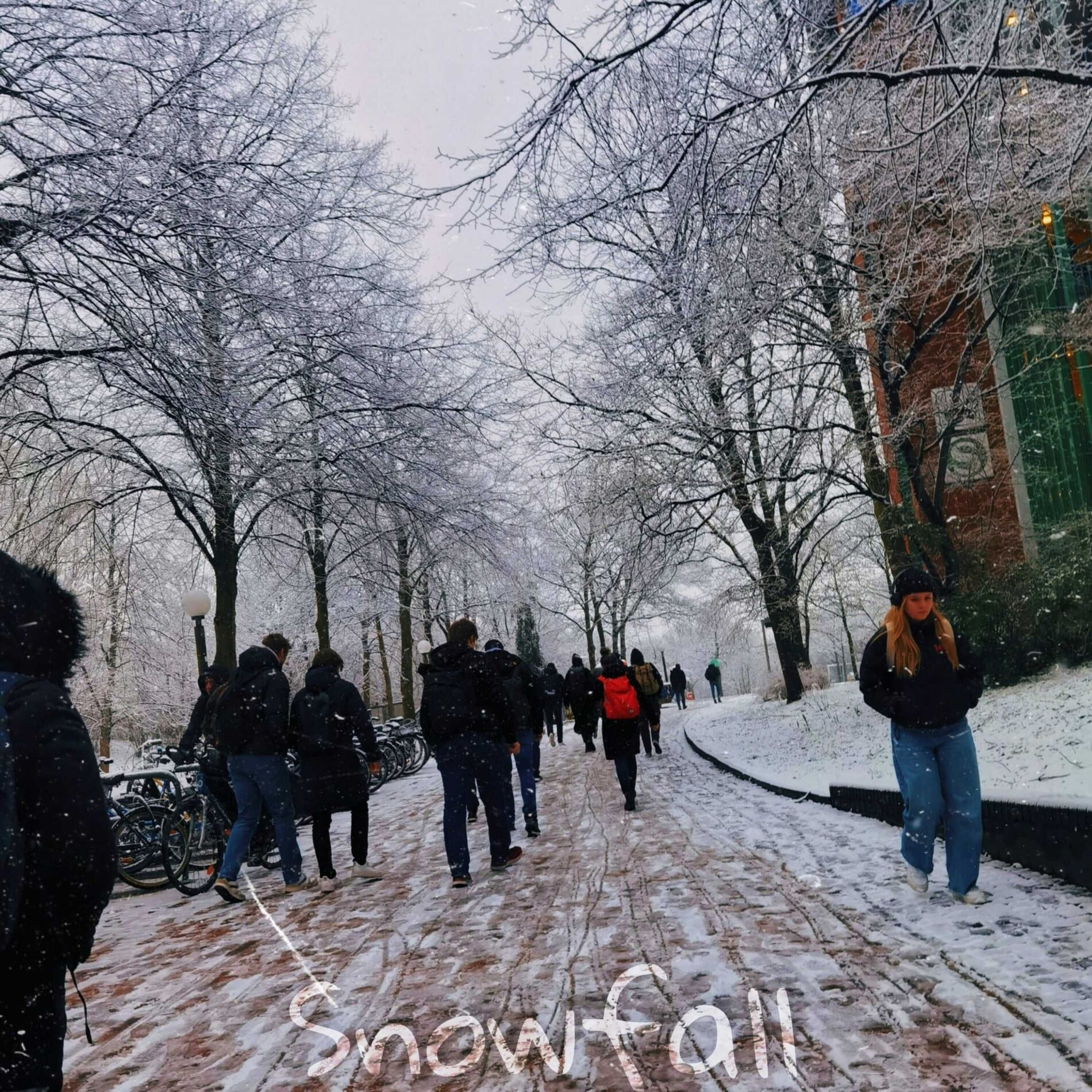 Album cover of Snowfall (A Winter Lullaby)