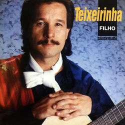 Cover of Gauderiada