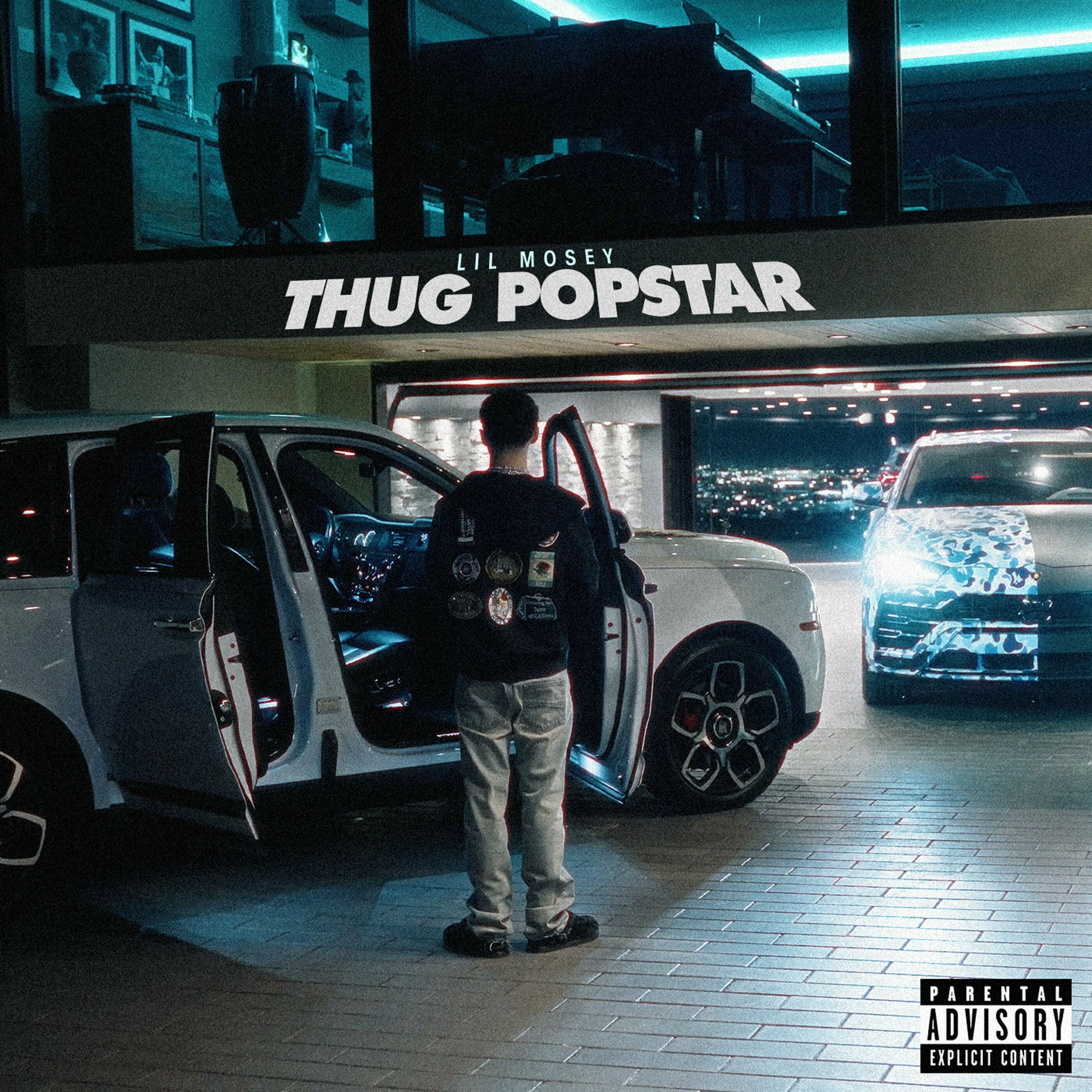 Album cover of Thug Popstar