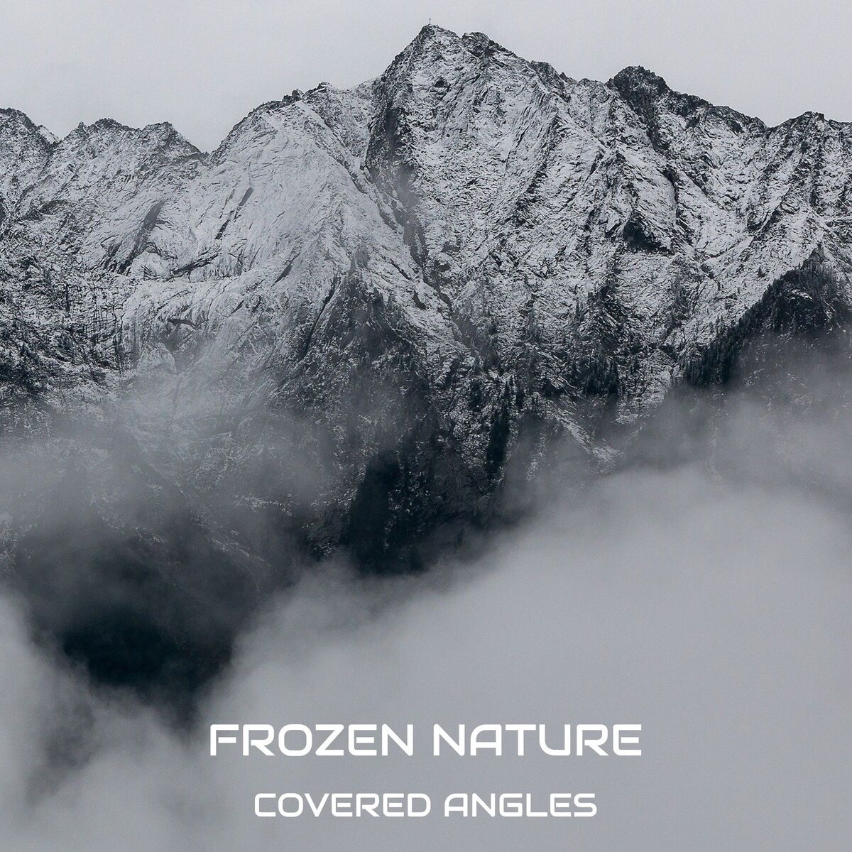 Album cover of Covered Angles