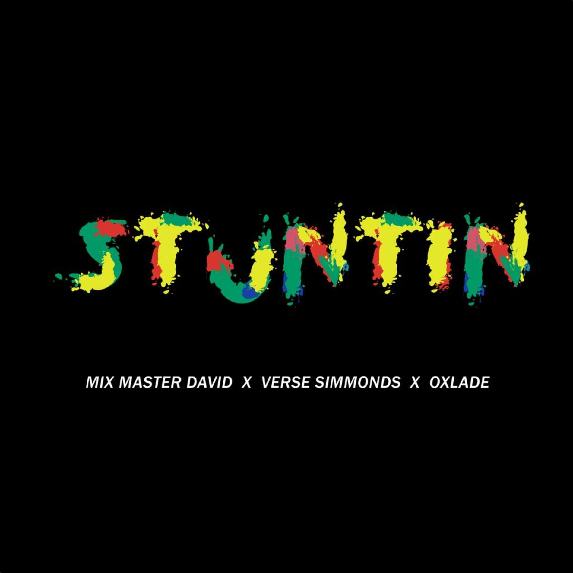 Album cover of Stuntin