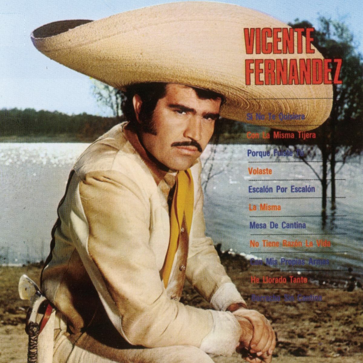 Album cover of Volaste