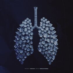 Cover of Stop Breathing