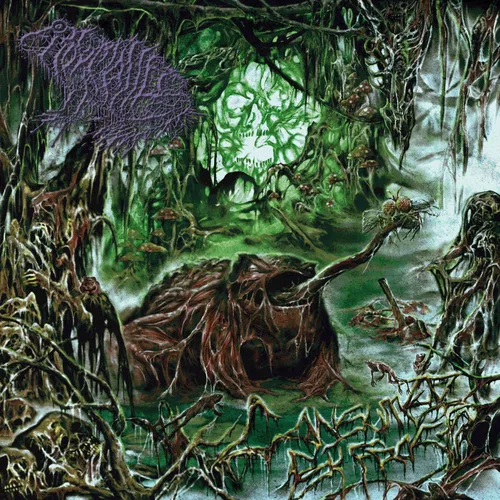 Consumed By Frogs — cover art