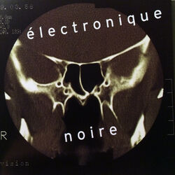 Cover of Electronique Noire