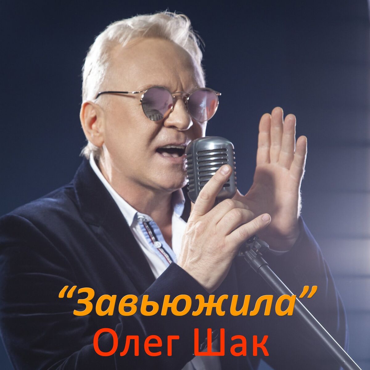 Album cover of Завьюжила