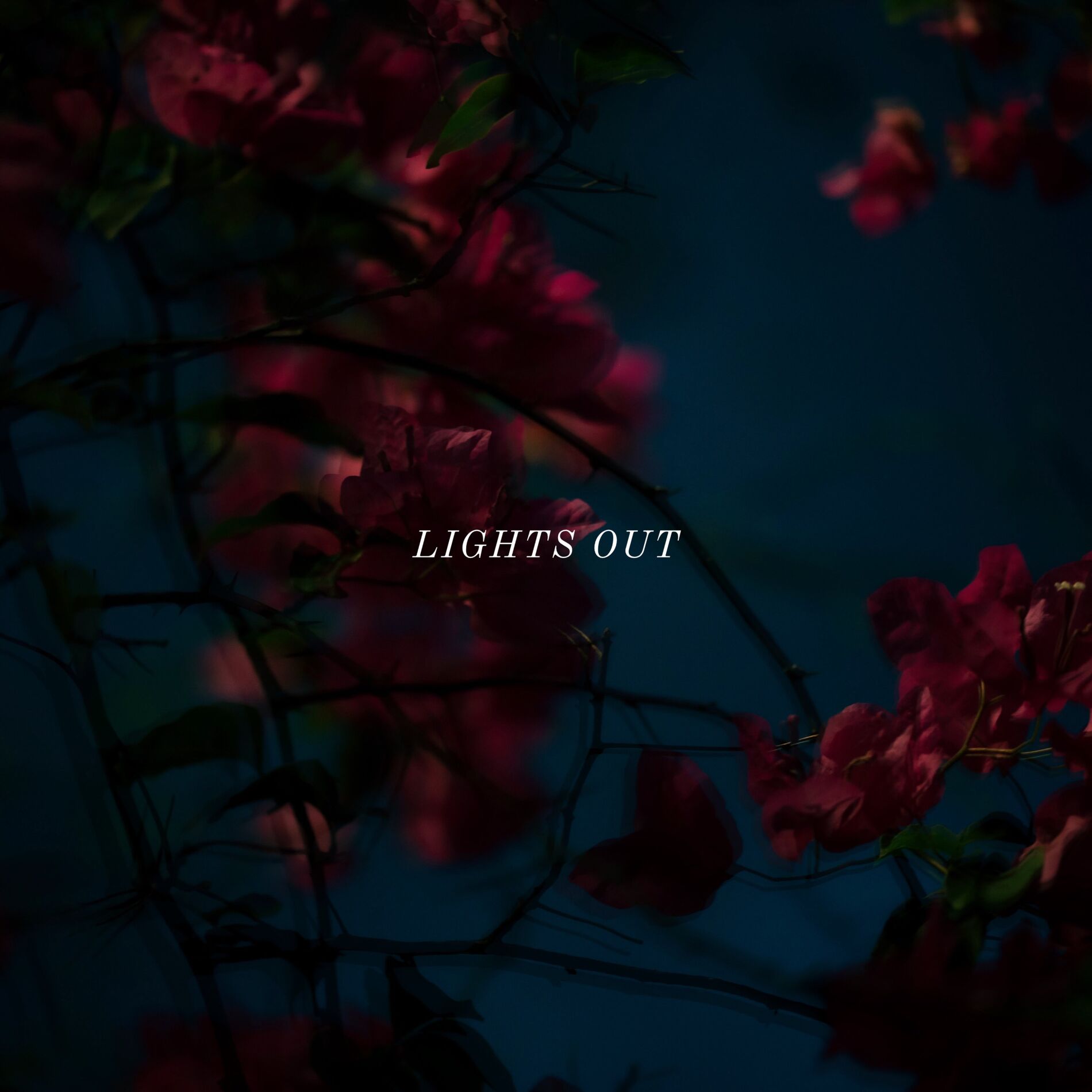 Album cover of Lights Out