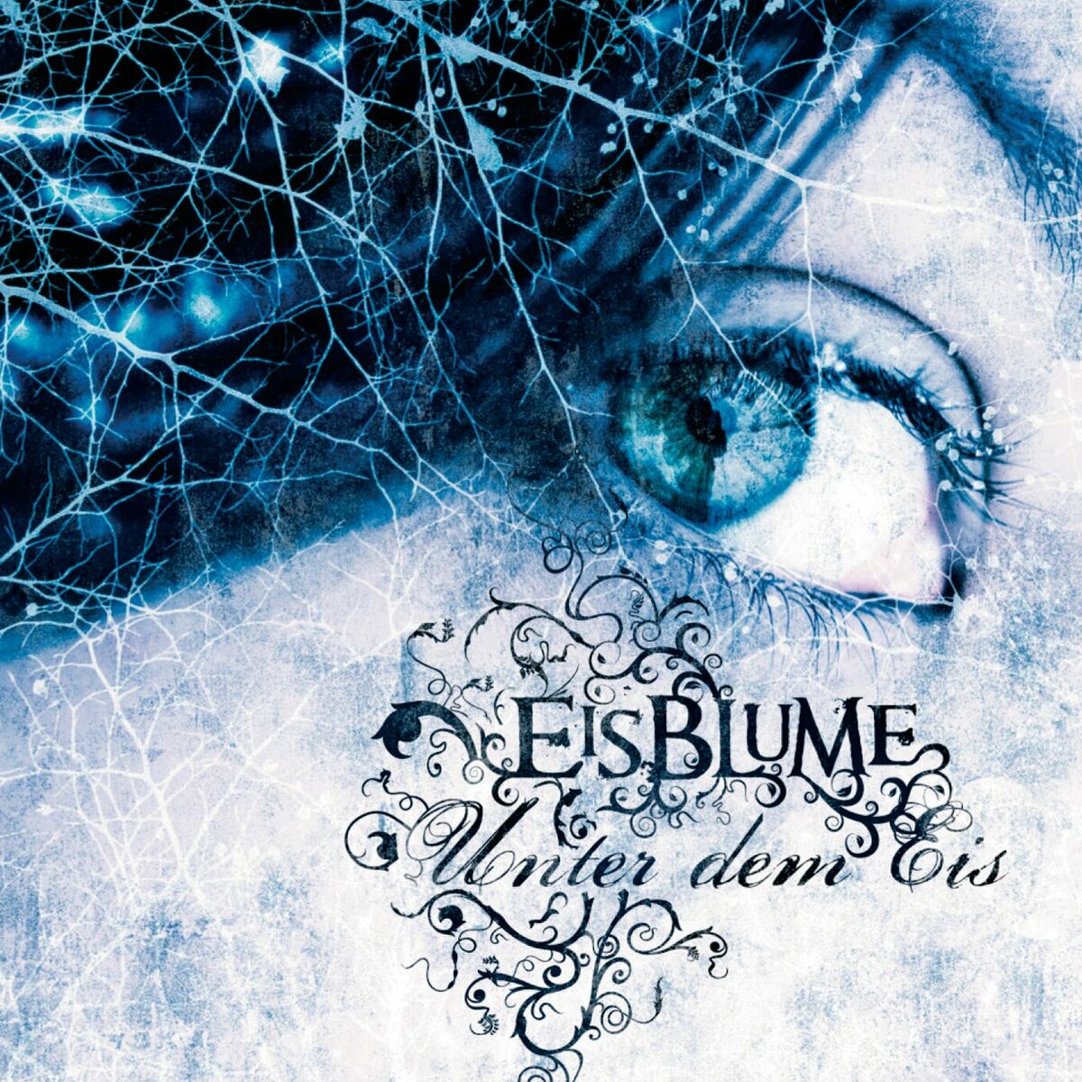Album cover of Unter dem Eis